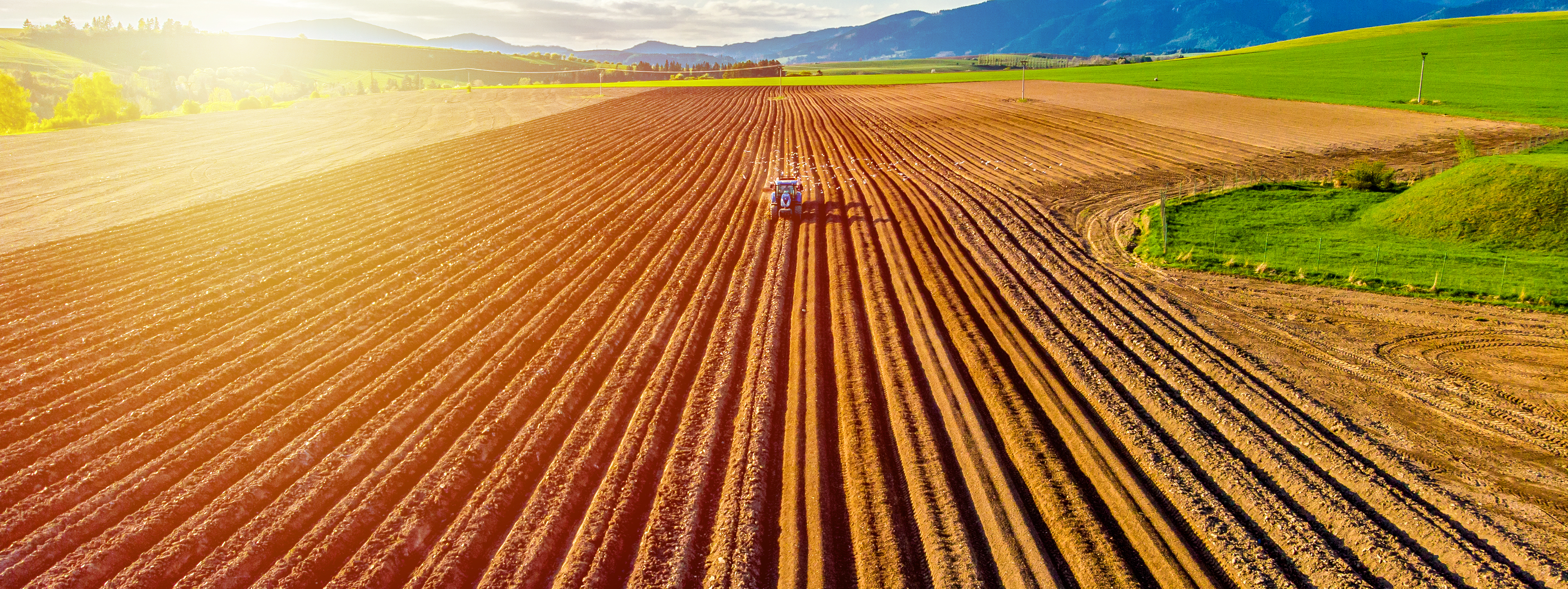 Should Farm Land Used Only for Farm Purposes be in the Residential Class?